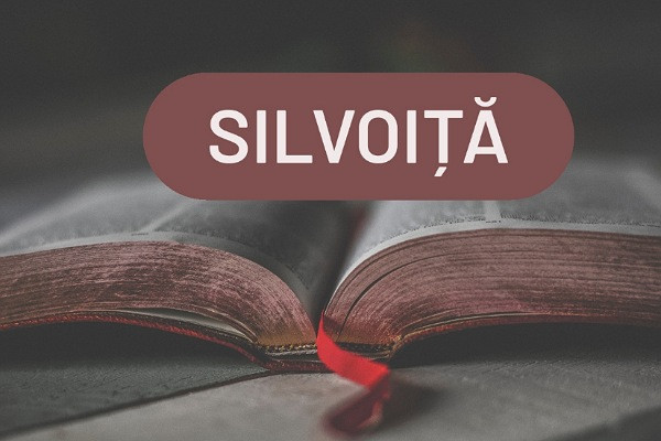 Care este definitia corecta a acestui cuvant? 
