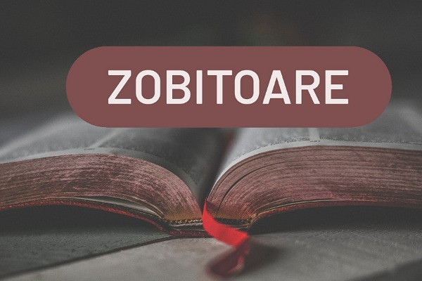 Care este definitia corecta a acestui cuvant? 