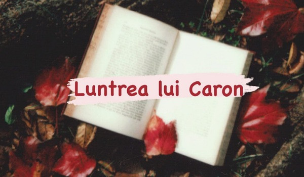 Cine a scris aceasta carte?
