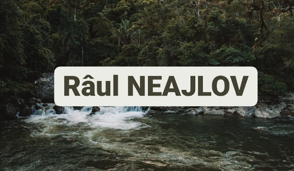 In ce judet se afla acest rau?
