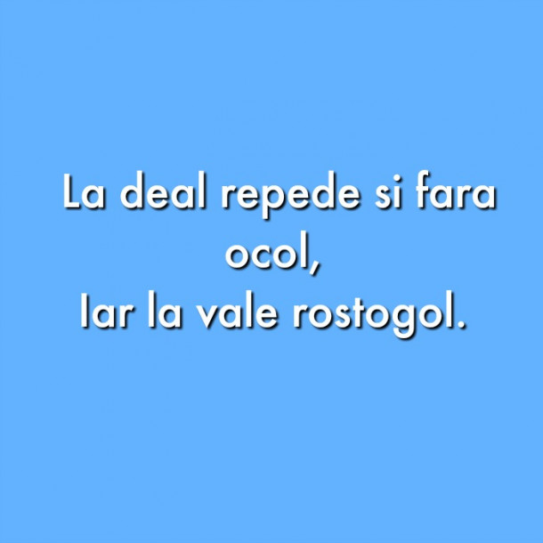 Care este raspunsul ghicitorii?