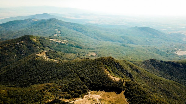 Ce capitala are statul Bulgaria?