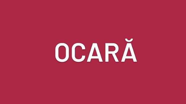 Care este sinonimul acestui cuvant? 