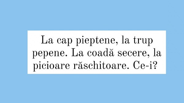 Ghiceste raspunsul corect!