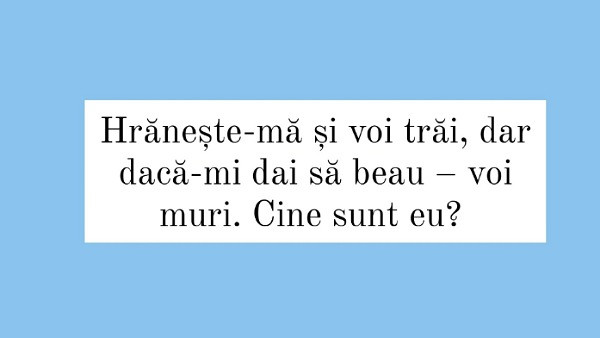 Ghiceste raspunsul corect!