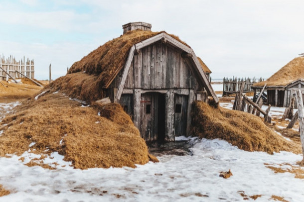 Continuati proverbul - ....BUNA TRECE PRIMEJDIA REA!