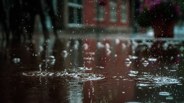 Care este continuarea expresiei Raining with cats and...?