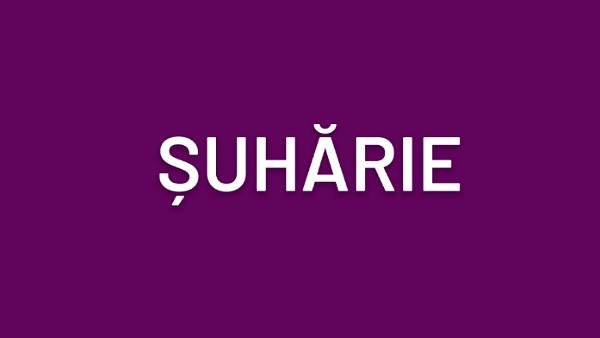 Care este sinonimul acestui cuvant?