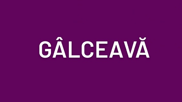 Care este sinonimul acestui cuvant?