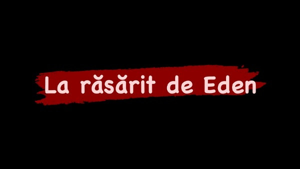 Cine a scris aceasta carte? 