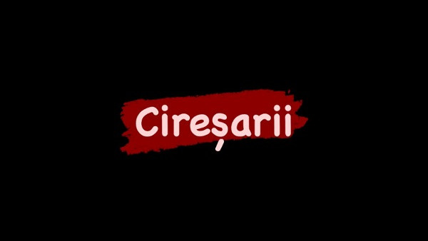 Cine a scris aceasta carte? 