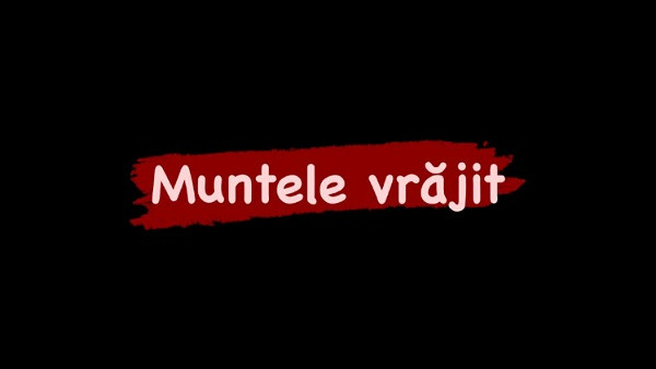 Cine a scris aceasta carte? 