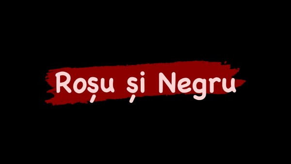 Cine a scris aceasta carte? 