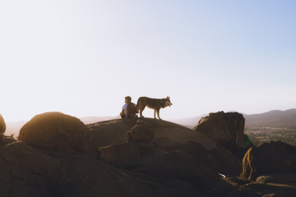 Care este animalul ce simti ca iti reprezinta personalitate?