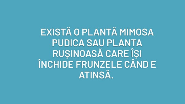 Ce crezi?