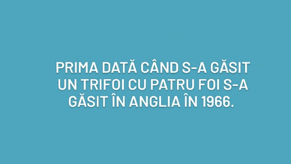 Ce crezi?