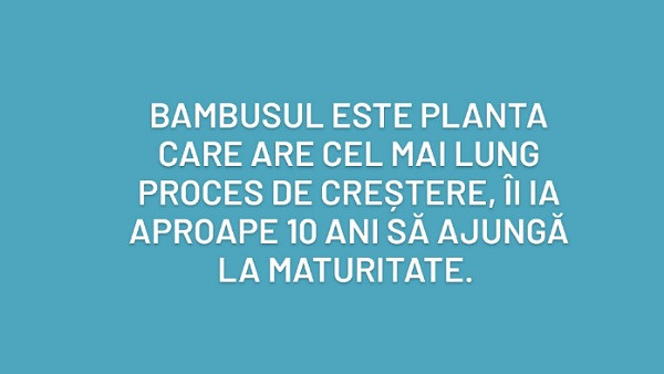 Ce crezi?
