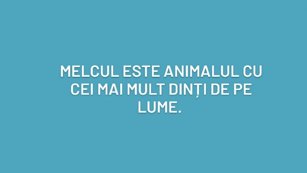 Ce crezi?