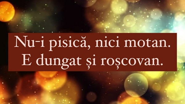 Care este raspunsul corect?