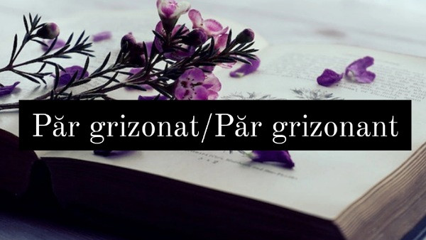 Cum se scrie corect?