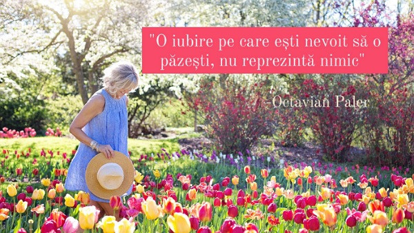 Ce parere ai despre acest citat?
