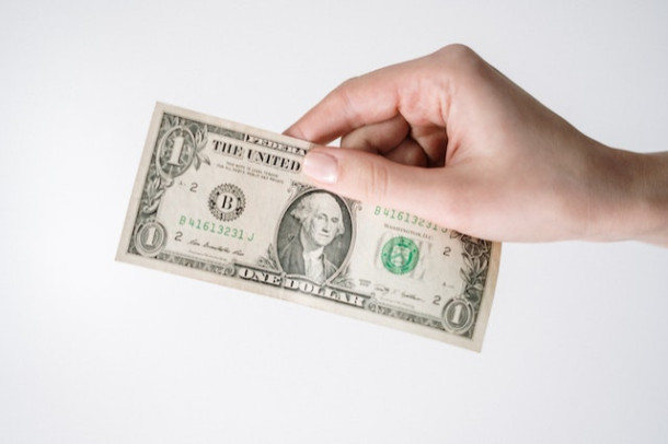Cat valoreaza un dolar american?
