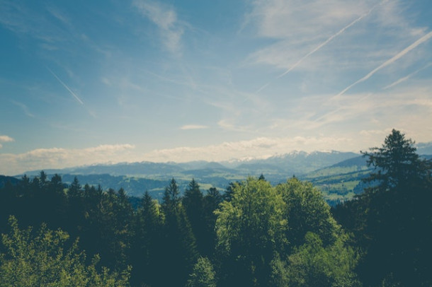Ce clima are tara noastra?