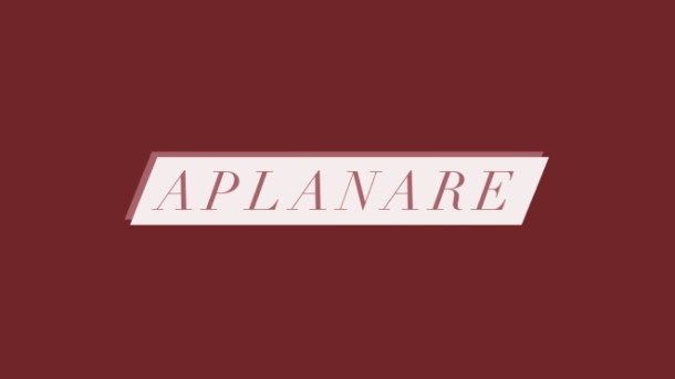 Care este definitia corecta a acestui cuvant?