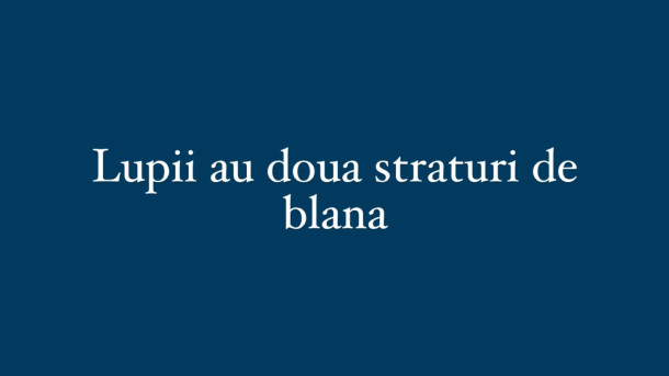 Adevarat sau Fals?