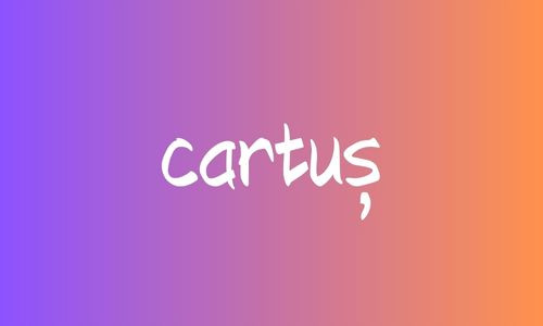 Care este forma corecta de plural a cuvantului: 