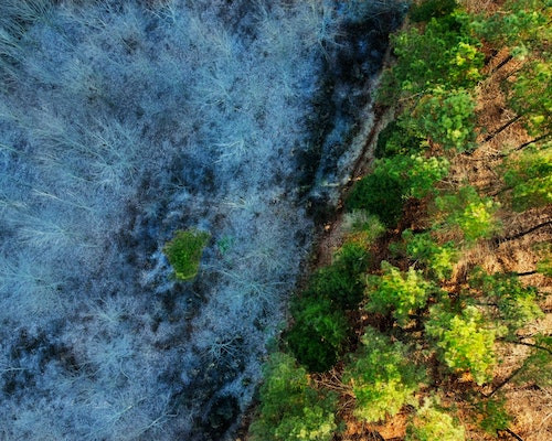 In ce luna esti nascuta?