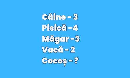 Raspunsul corect este: 