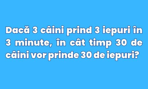 Raspunsul corect este: 
