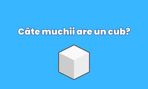 Raspunsul corect este: 