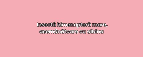 Alege cuvantul corect confrom definitiei: 