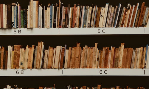 Cine  a scris nuvela „Alexandru Lapusneanul”?