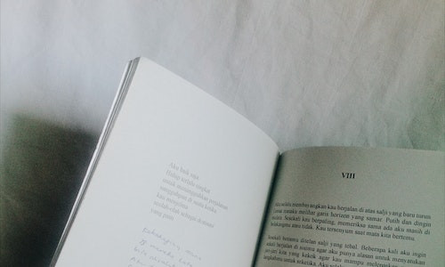 In ce curent literar este incadrata poezia „In dulcele stil clasic” de N. Stanescu?