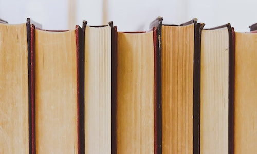 De cine poate fi realizata caracterizarea directa intr-un text literar?