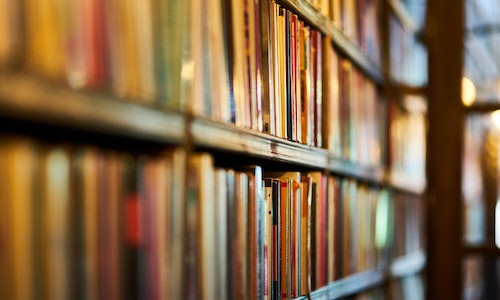 Care NU este o trasatura a regimului democratic? 