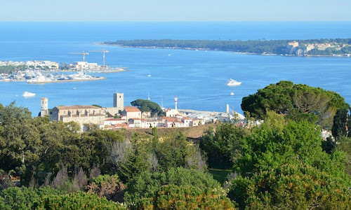 Cum se numeste premiul acordat castigatorilor pentru cele mai bune filme la Festivalul de la Cannes?