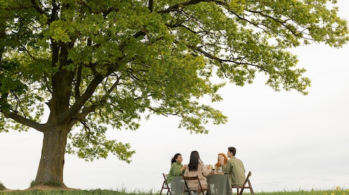 De ce ai nevoie acum?