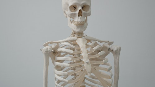 Din cate vertebre este compusa coloana corpului omenesc?
