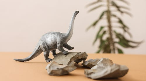 Care este lungimea celui mai mare dinozaur descoperit pana acum?