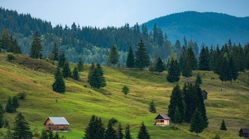 In ce an a fost fondat Muzeul Satului din Bucuresti?