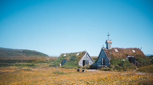 Într-un sat viking, ce rol ai avea?
