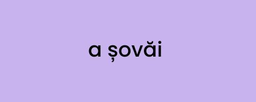 Care este sinonimul corect?
