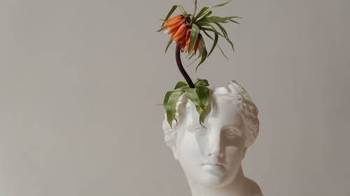 Unde a fost exilat, in vremea imparatului roman Augustus, poetul Ovidiu?