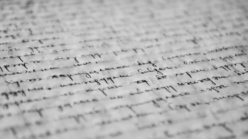 Cine a scris poezia „Plumb”?