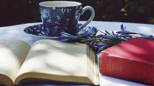 Care era numele real al poetului Ion Barbu?