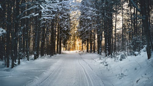 In luna ianuarie, cea mai mica temperatura masurata a fost de -16 °C, iar cea mai mare de 7 °C. Difereta dintre cele doua este de: 